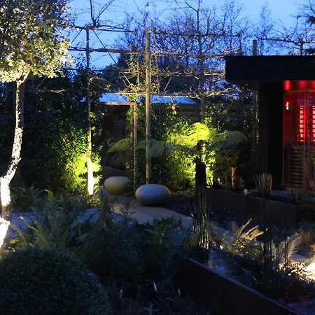 Bed And Garden-2
